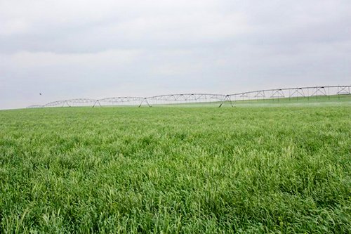 Property photo 105 - LAND AUCTION, 3255+/- Acres offered in 13 Tracts
